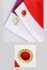 Bandeira Progress Pride LGBTQIA+